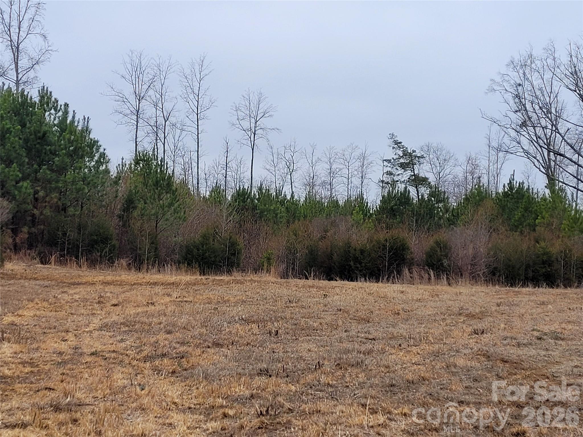 00000 Frazier Road, Mebane, photo 6 of 8
