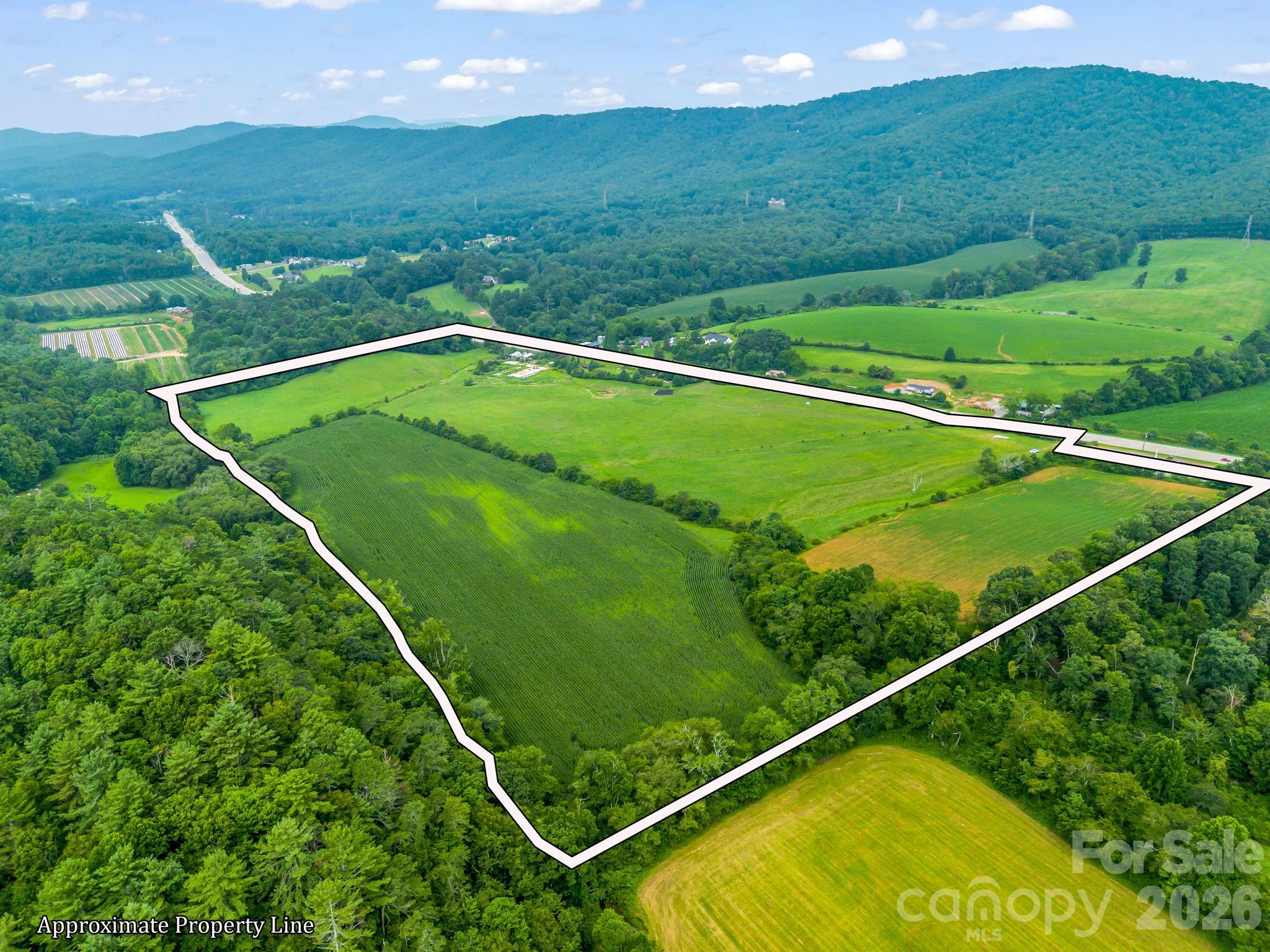 7513 Boylston Highway, Mills River, photo 5 of 8