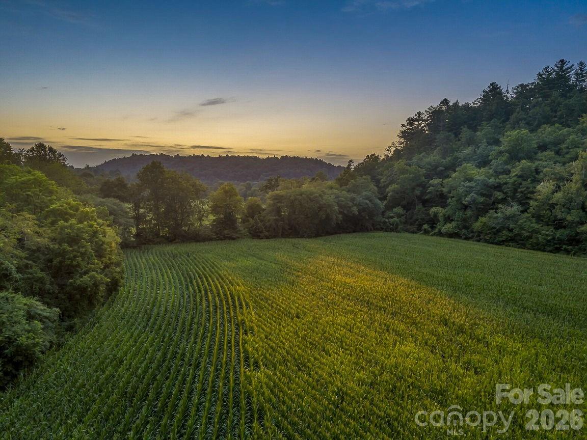 7513 Boylston Highway, Mills River, photo 2 of 8