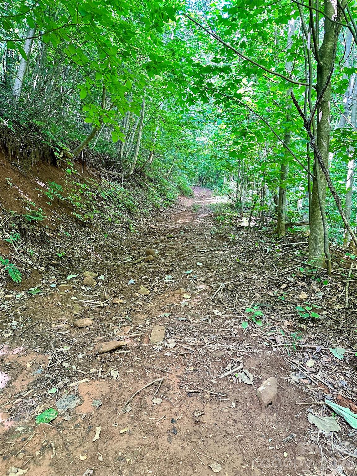 75 Fork Creek Road, Saluda, photo 2 of 8