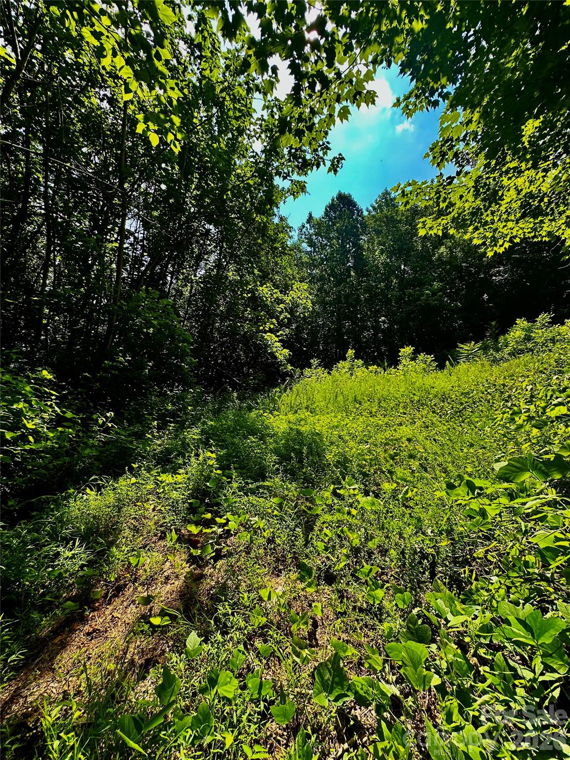 75 Fork Creek Road, Saluda, photo 6 of 8