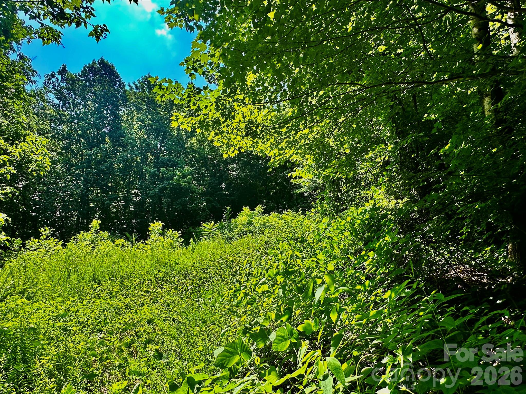 75 Fork Creek Road, Saluda, photo 4 of 8