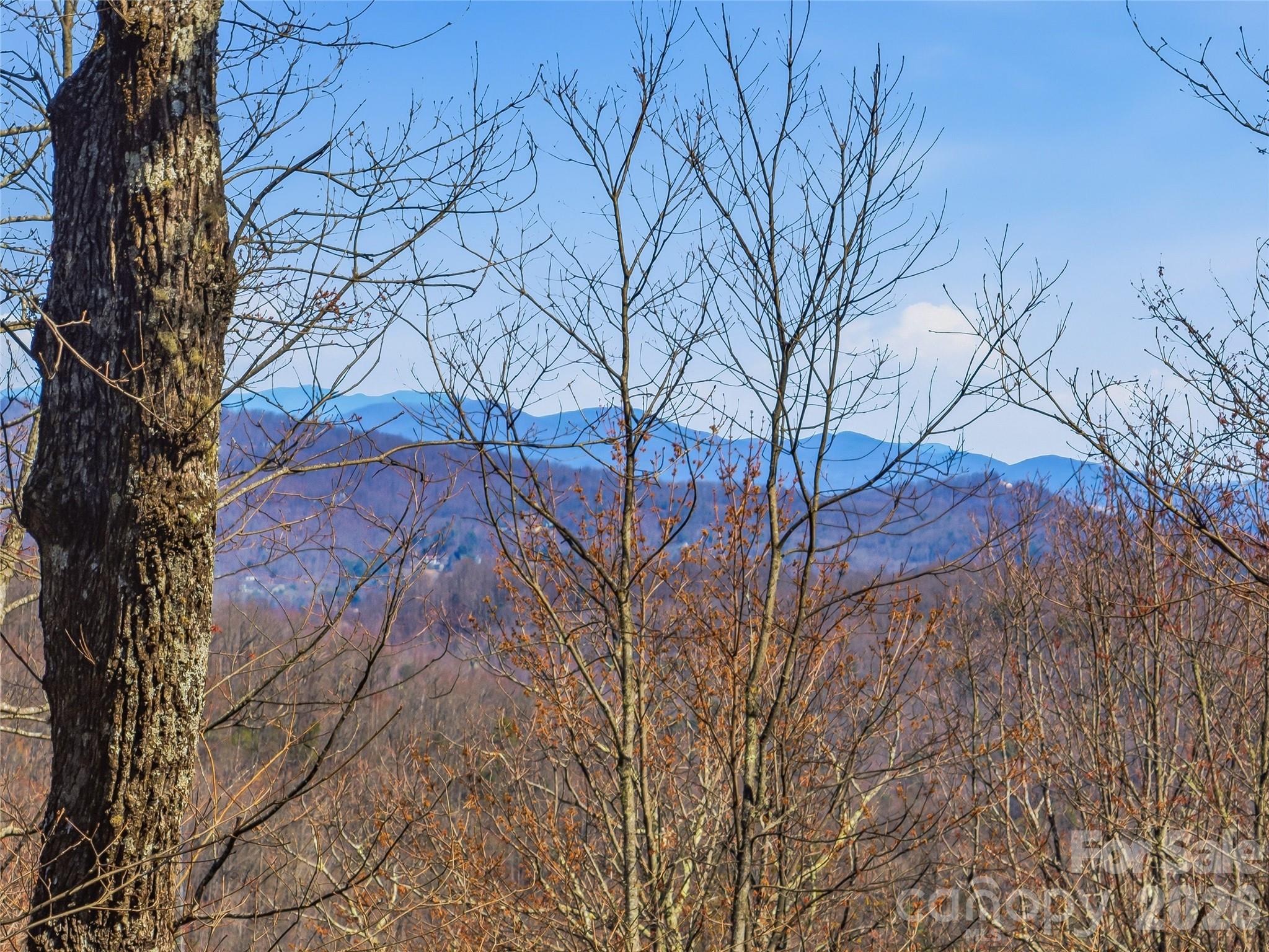 0000 Panther Mountain Road #18, Zirconia, photo 6 of 8