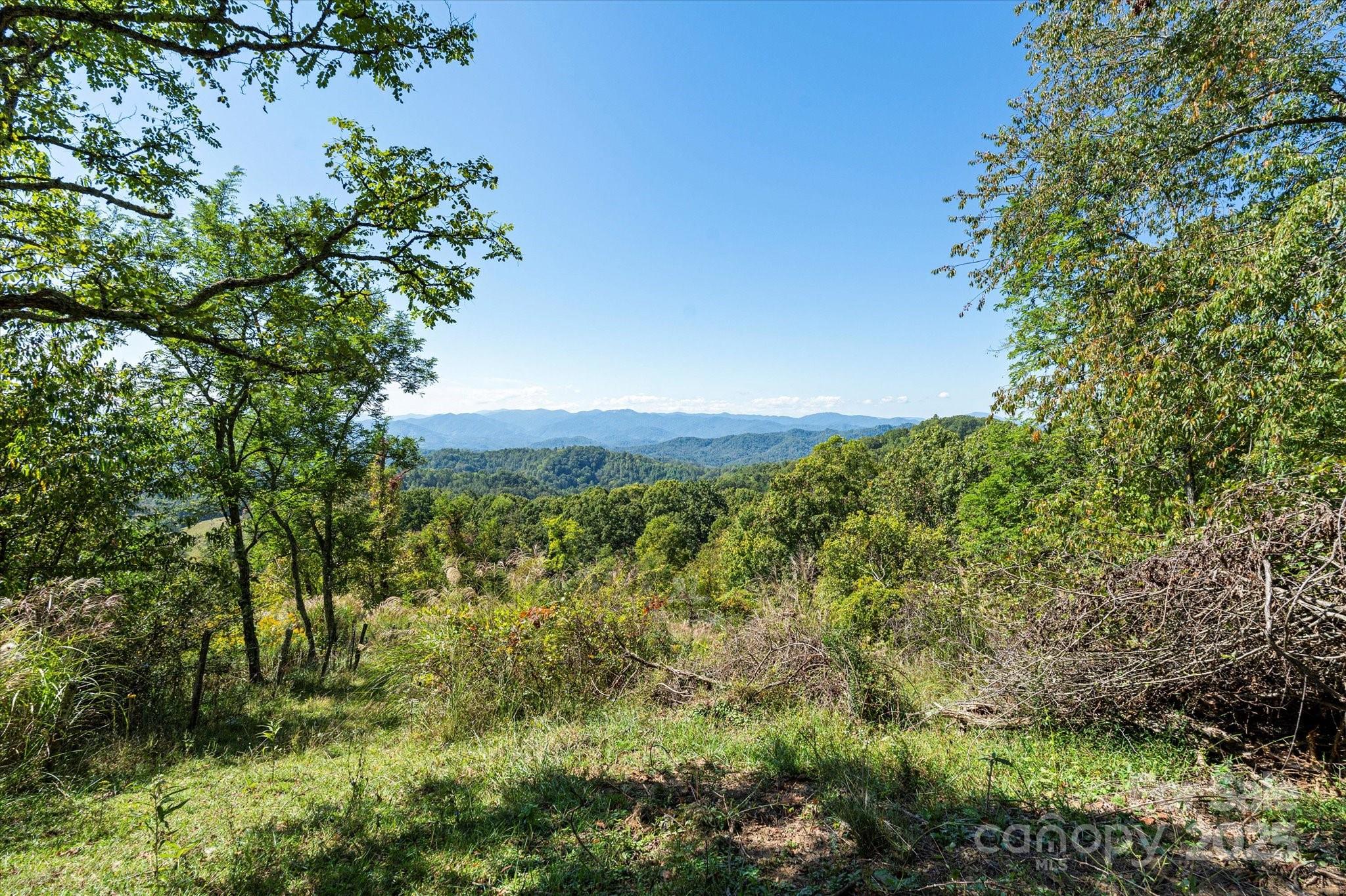 1623 Ammons Branch Road, Marshall, photo 3 of 8
