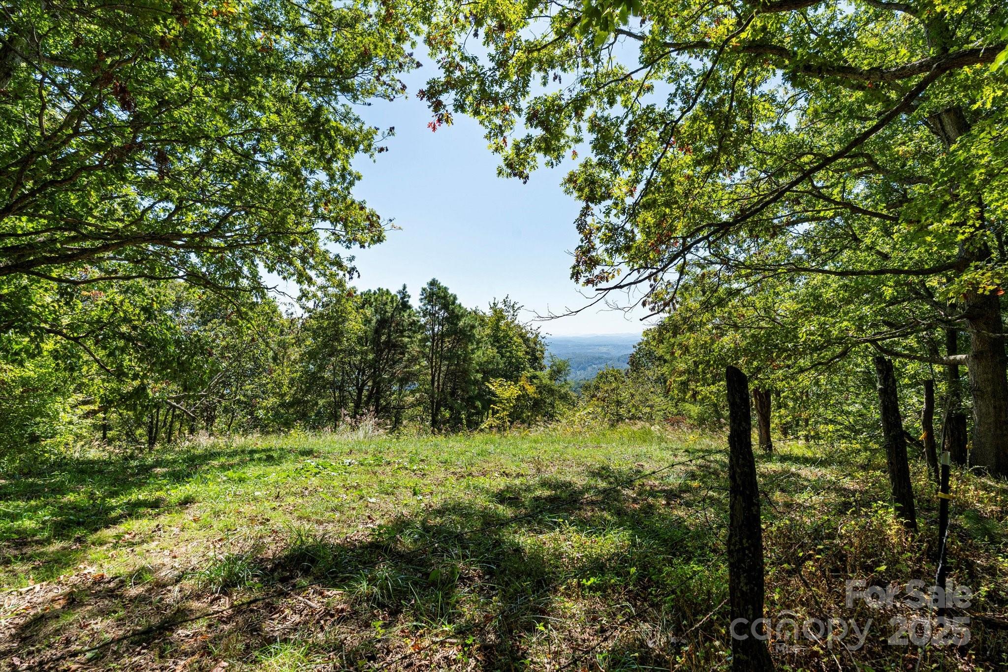 1623 Ammons Branch Road, Marshall, photo 7 of 8