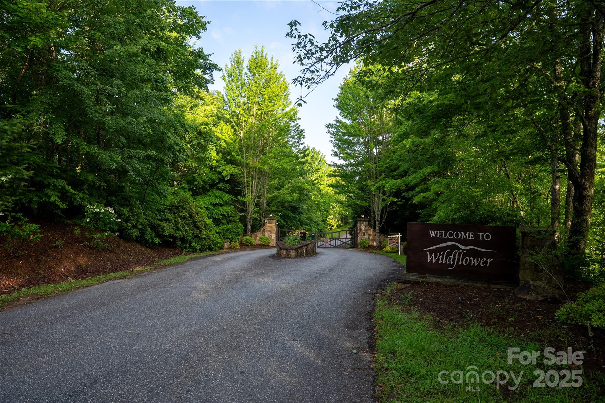 00 Upper Dalton Creek Road, Franklin, photo 1 of 8