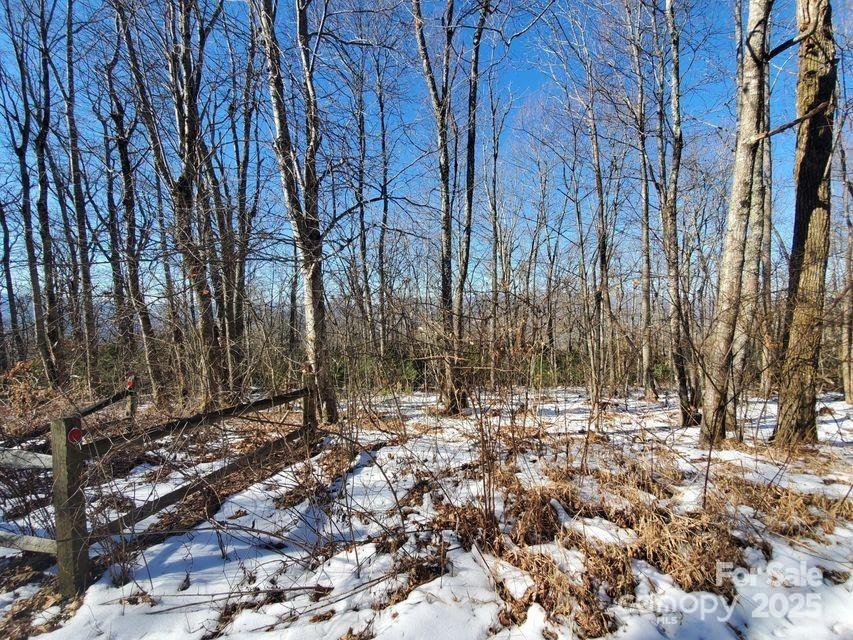 Tbd Henredon Road, Spruce Pine, photo 3 of 8