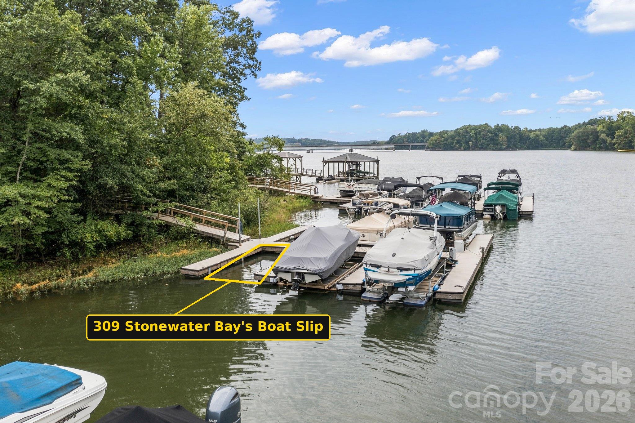 309 Stonewater Bay Lane, Mount Holly, photo 4 of 8