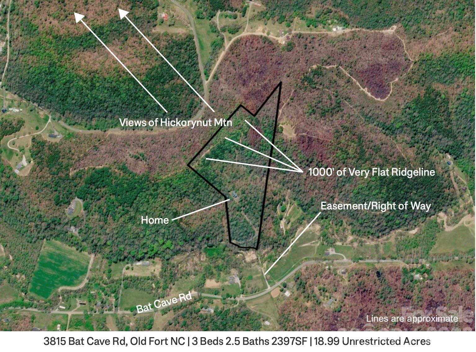 3815 Bat Cave Road, Old Fort, photo 5 of 8
