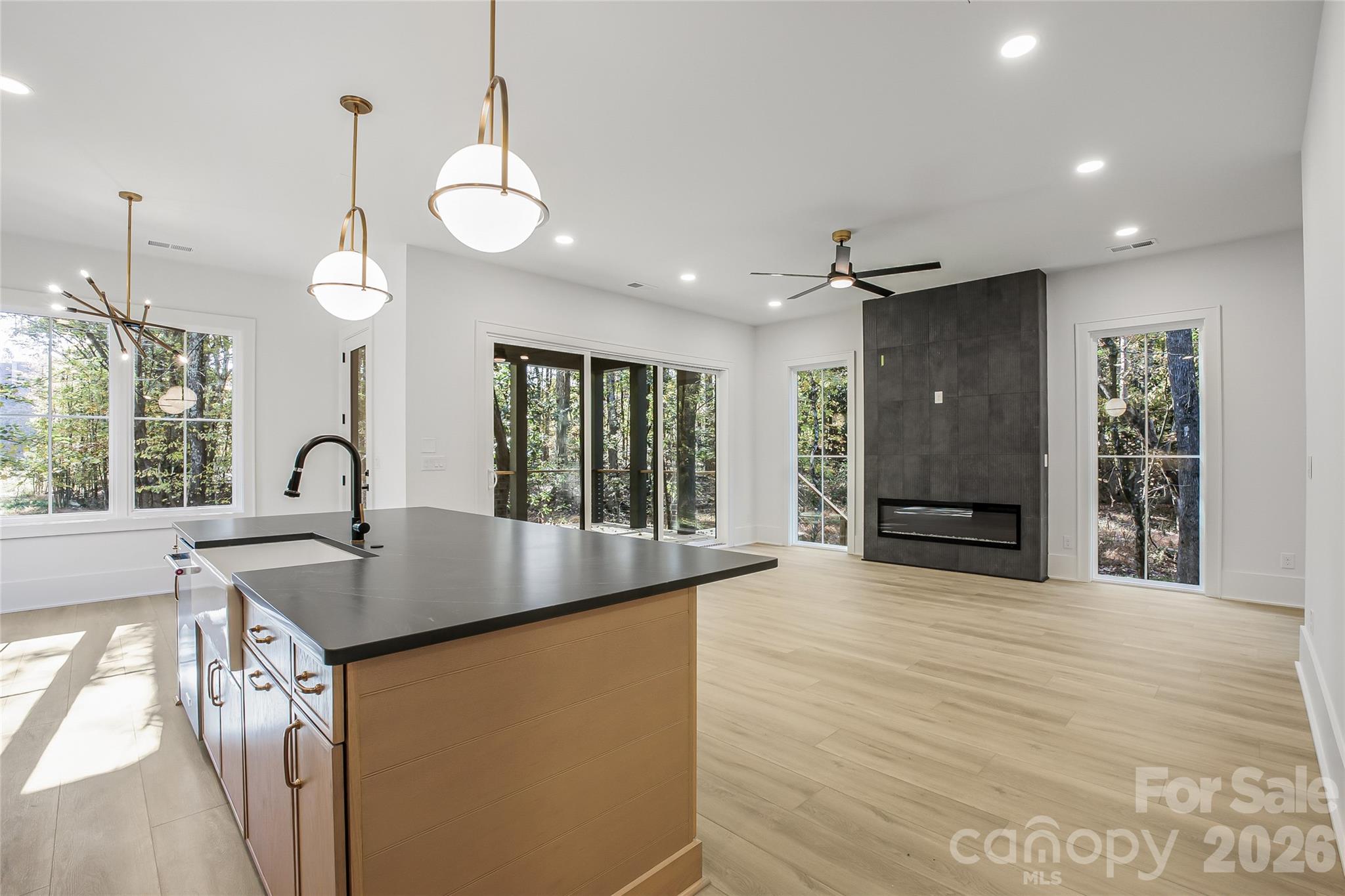 4003 Sage Cliff Court, Matthews, photo 6 of 8